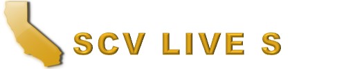 Scv Live Scan & Notary