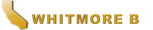 Whitmore Business Services